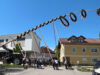 Maibaum NEU