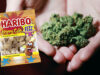 111 Haribo Cannabis