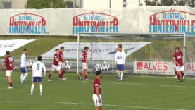 Edelweiss St. Martin