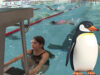 Pinguin Cup Schwimmen