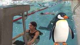 Pinguin Cup Schwimmen