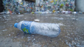 WKO Nachhaltigkeitsbericht