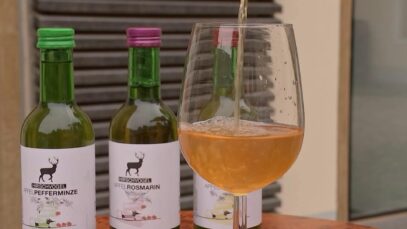 genussland hirschvogel