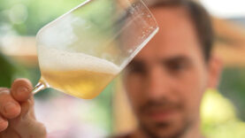 Genussland Alkoholfrei