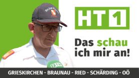 TN_Youtube_KW28_110725