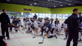 Aktuelles Black Wings