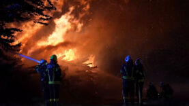 Prozess Pressefotograf