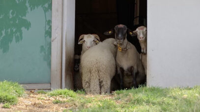 Bildschirmfoto 2025-09-27 um 09.23.02