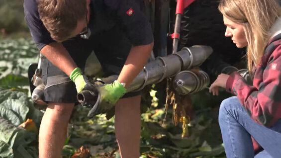 Vorbericht Stallgeflüster