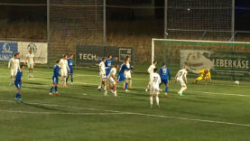 FB Weißkirchen Edelweiß