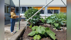 Leonding Umweltpreis