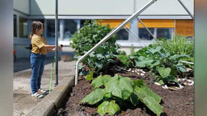 Leonding Umweltpreis