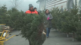 111 Christbaumverkauf