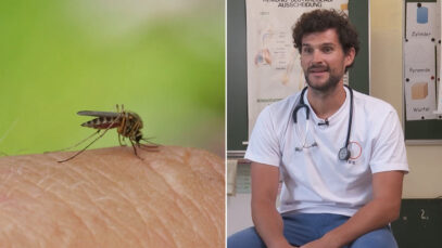 Klartext Mückenstiche