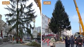 Linz Weihnachtsbaum Hauptplatz