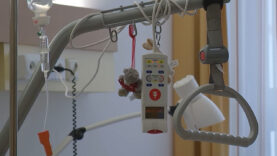 111 Gesundheitsbudget