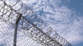 111 Leiner Kabeldieb