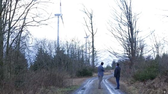 Raiffeisen Genossenschaft