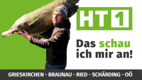 TN_Youtube_KW51_19122025_V2