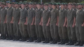 111 Bundesheer Frisur