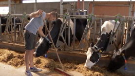 Landwirtschaft Schulbücher