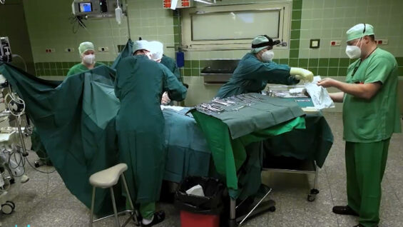 Ordensklinikum Nierentransplantation