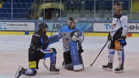 Black Wings Saisonaus