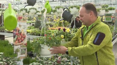 Dobetsberger EO Gartencenter