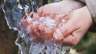 Wasserwelt Scharlinz