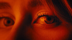 111 Illegale Prostitution