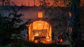 111 Vierkanthof Ursache