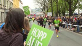 Linz Marathon Guglwald