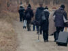 111 Illegale Migration