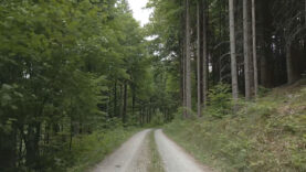 111 Naturschutz