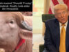 111 Trump Buffalo