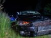 111 Wildunfall