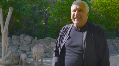111 Krankl Elefant