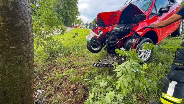111 Tödlicher Unfall NÖ