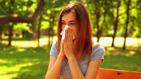 Allergien