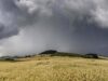 Regen Landwirtschaft