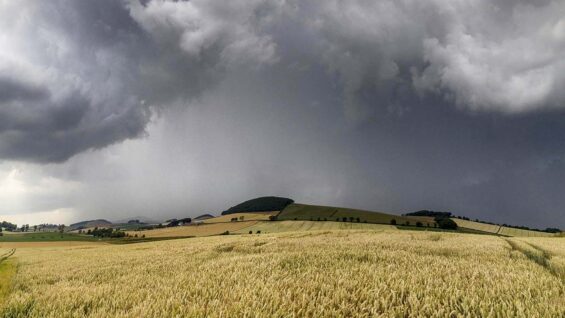 Regen Landwirtschaft
