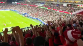 WM Fans