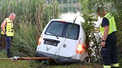 ausee auto