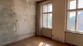 kritik green deal