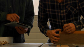 wko handwerk