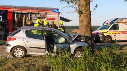 111 Auto Unfall Baum
