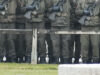 111 Bundesheer Reform