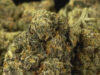 111 Cannabis