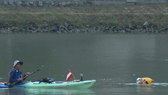 Extremschwimmer Donau