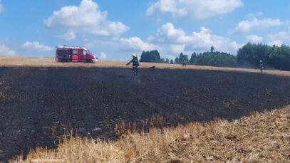 brand